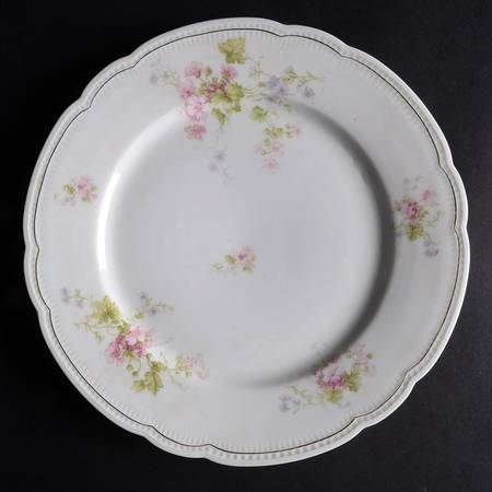 VNN92 Dinner Plate