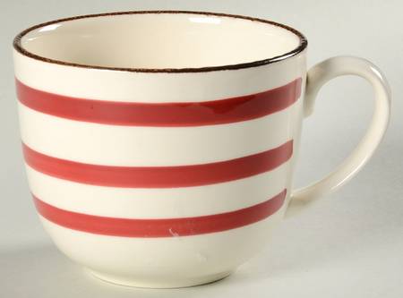 V4C5 Mug