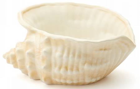 Isola Mare 15" Shell Shaped Bowl