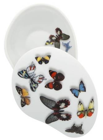 Butterfly Parade by Christian LaCroix Oval Box & Lid