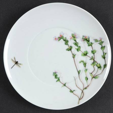 Prairie by Vista Alegre