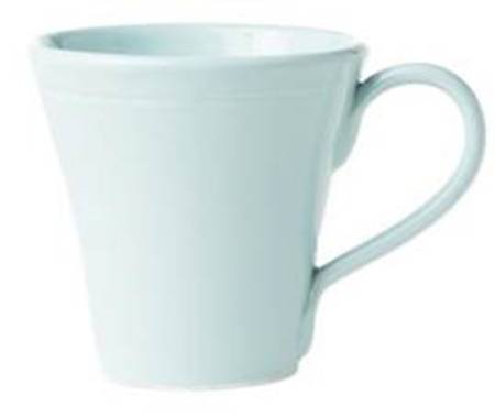 Fresh Aqua Mug