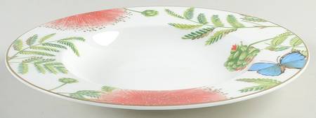 Amazonia Large Rim Soup Bowl