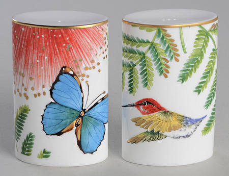 Amazonia Salt & Pepper Set
