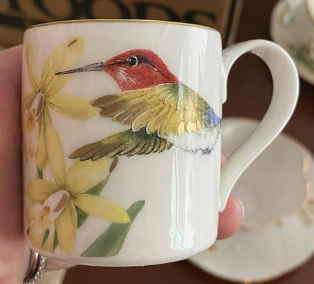 Amazonia Flat Demitasse Cup
