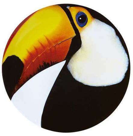 Olhar O Brasil Service Plate (Charger)