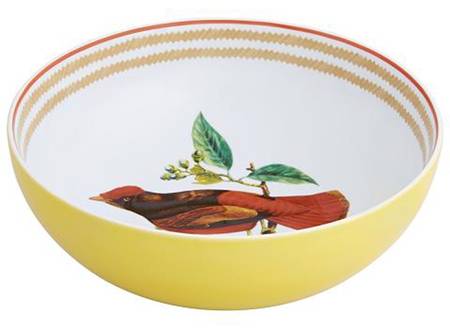 Olhar O Brasil 11" Large Salad Serving Bowl