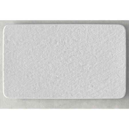 Manufacture Rock Sushi Plate