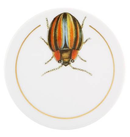 Insects Coaster