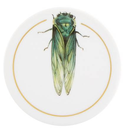 Insects Coaster