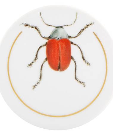 Insects Coaster