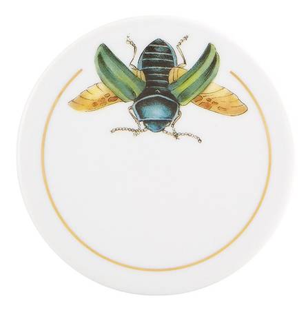 Insects Coaster
