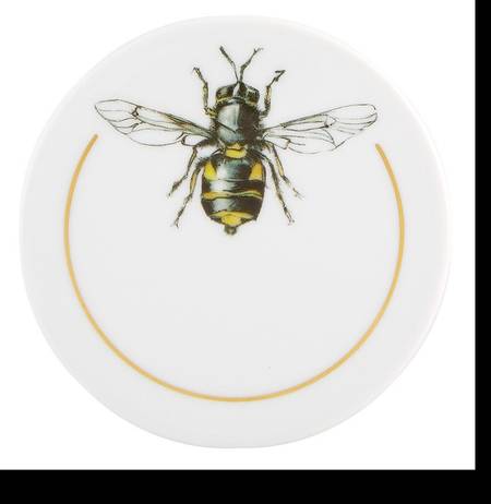 Insects by Vista Alegre