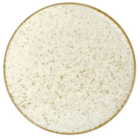 Earth Dinner Plate