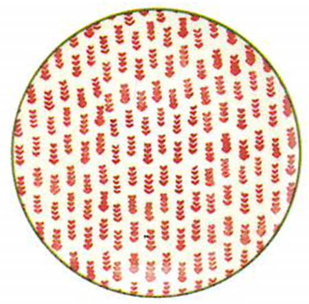Mistletoe Dinner Plate