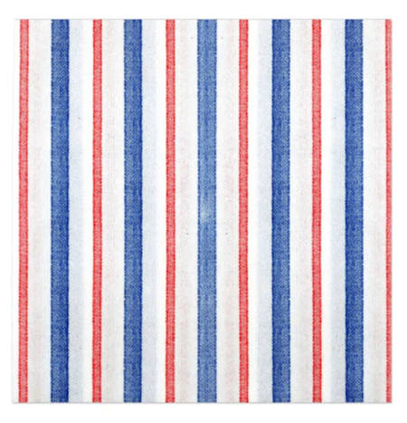 Papersoft Napkins Package of Paper Dinner Napkins