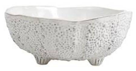 Acquatico 6" Shell Shaped Bowl