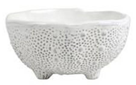 Acquatico 4" Shell Shaped Bowl