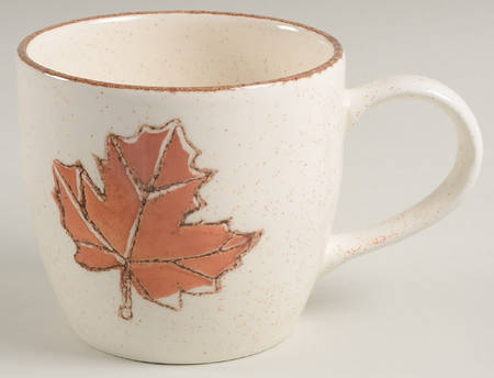 V4CV4C10 Mug