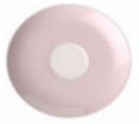 Rose Garden Saucer for Breakfast Cup