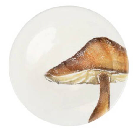 Autunno Canape Plate
