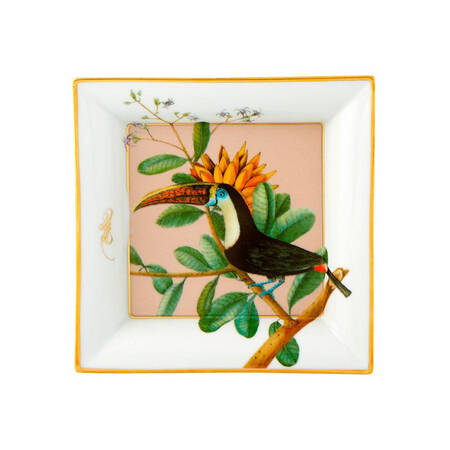 Amazonia 6" Square Tray