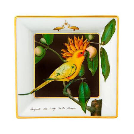 Amazonia 5" Square Tray
