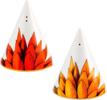 Amazonia Salt & Pepper Set
