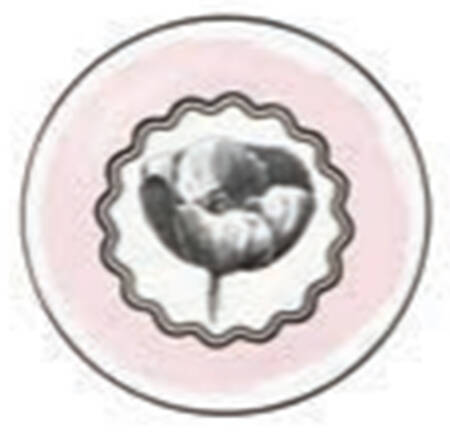 Herbariae Coaster