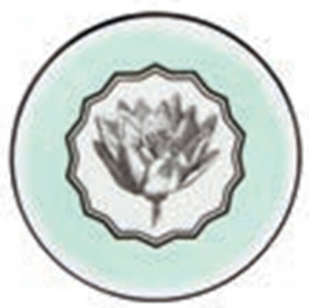Herbariae Coaster