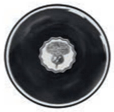 Herbariae Small Bread & Butter Plate