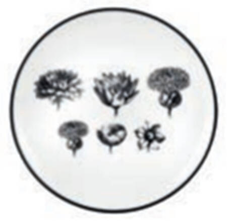 Herbariae Bread & Butter Plate