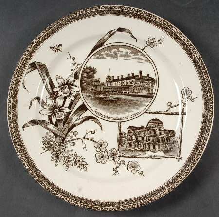 The World Salad Plate