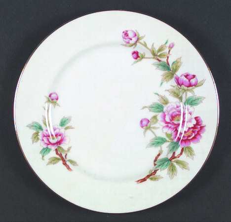 Dinner Plate