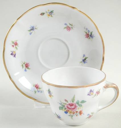 Meissen Gardens Bayreuth Flat Cup & Saucer Set