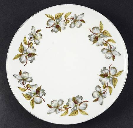 Dogwood (Smooth, Coupe) Salad Plate