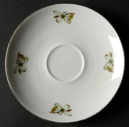 Dogwood (Smooth, Coupe) Saucer