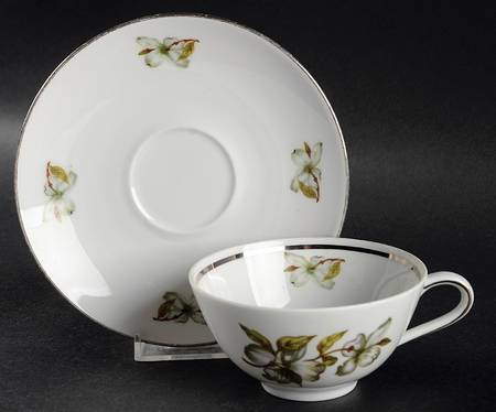 Dogwood (Smooth, Coupe) Footed Cup & Saucer Set