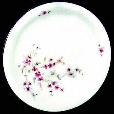 WIG135 Dinner Plate