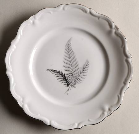 WIG15 Salad Plate