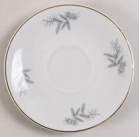 WIG43 Saucer