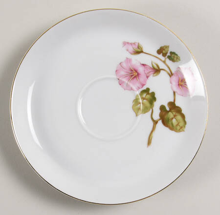 WIG83 Saucer
