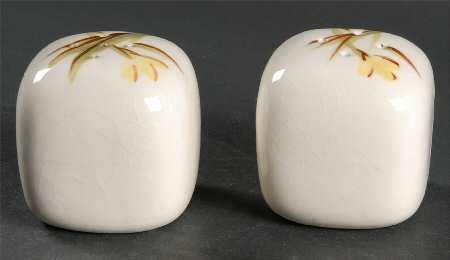 Tiger Iris Salt & Pepper Set
