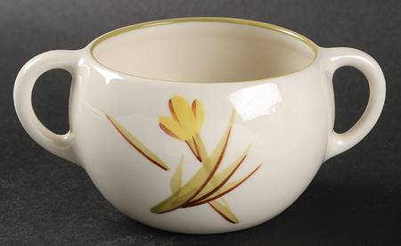 Tiger Iris Open Sugar Bowl