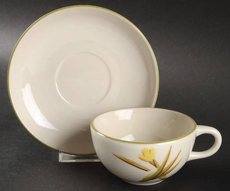 Tiger Iris Flat Cup & Saucer Set