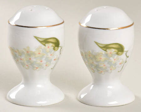 Briar Rose Salt & Pepper Set