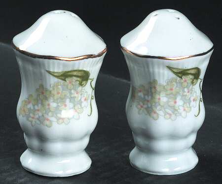 Briar Rose Salt & Pepper Set