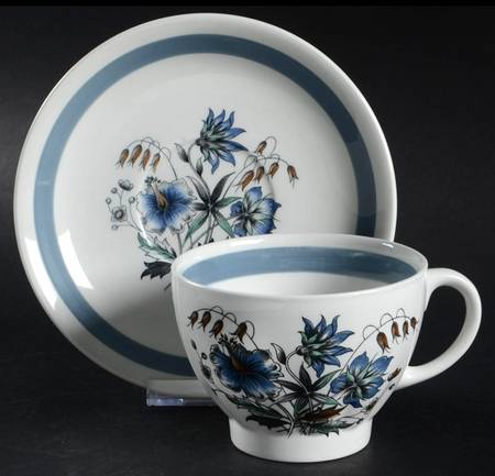 Blue Meadow Flat Cup & Saucer Set