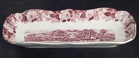 English Scenery Pink (Older, Smooth) Celery