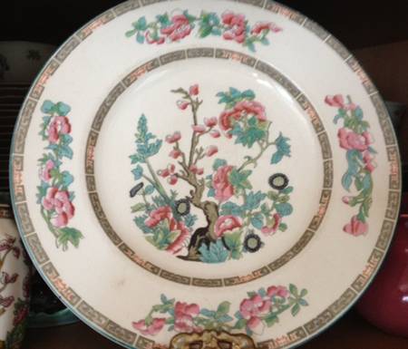Indian Tree (Aqua Trim) Dinner Plate
